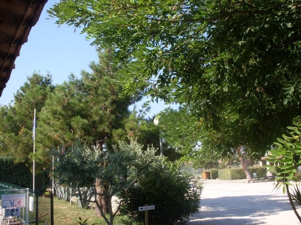 camping du Jonquier à Orange (84, Vaucluse, France)